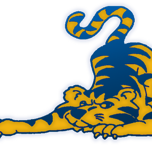 Team Page: Fisher Elementary